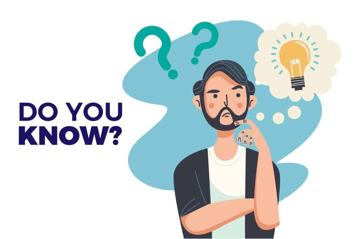 تاثیر سئو داخلی بر افزایش رتبه